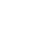 Paid Search (PPC)